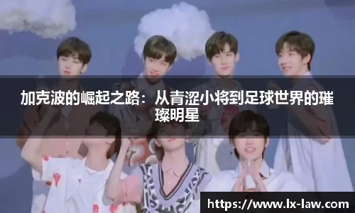 雷火电竞官网入口